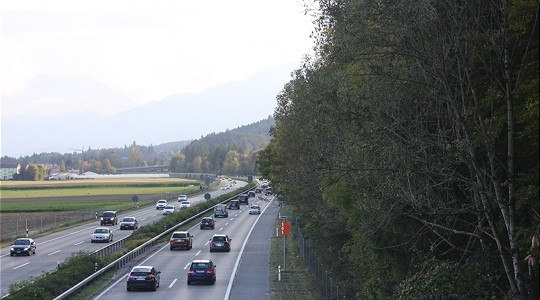  A6 Münsingen: instabile Bäume am Fahrbahnrand 